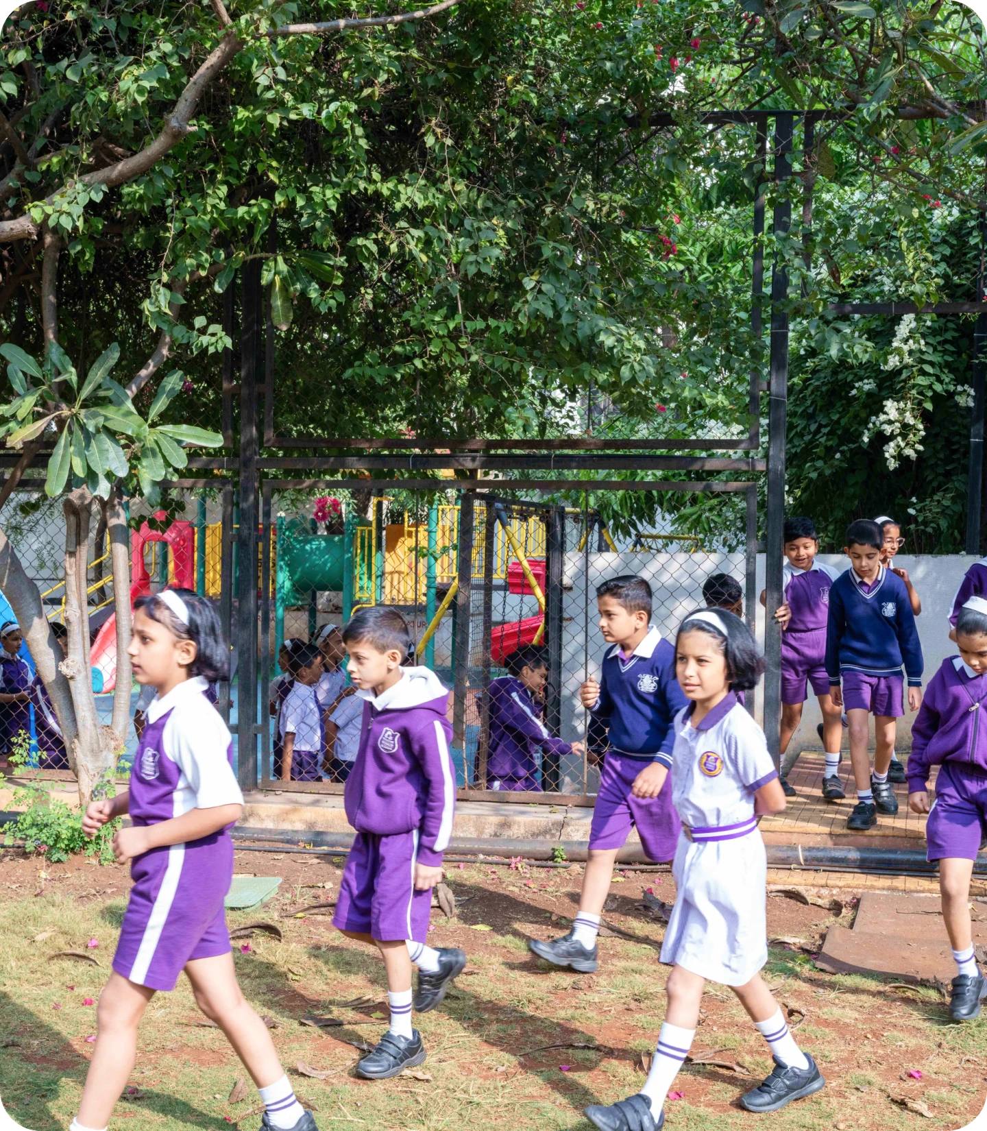 primary-school-img
